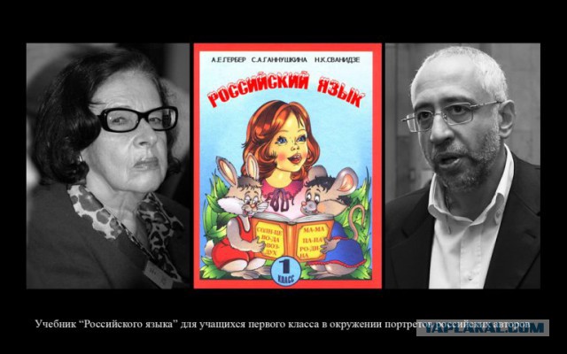 В Тольятти за экстремизм в соцсетях задержали пенсионерку