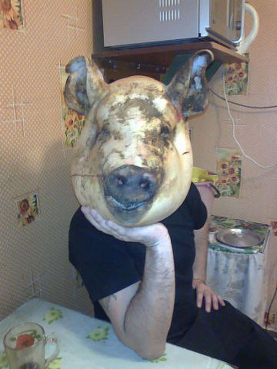 Ржачные свиньи