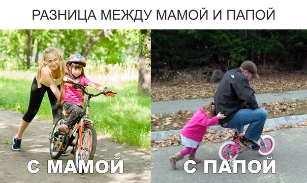 Коротко обо всём
