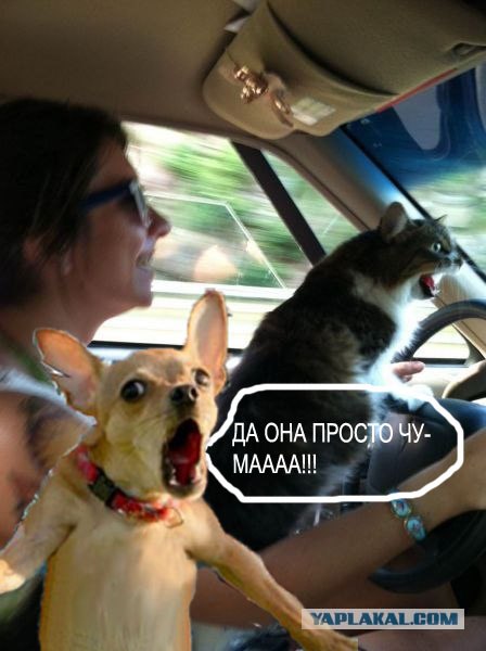 Ну-ка съе...ся вправо! Нах!