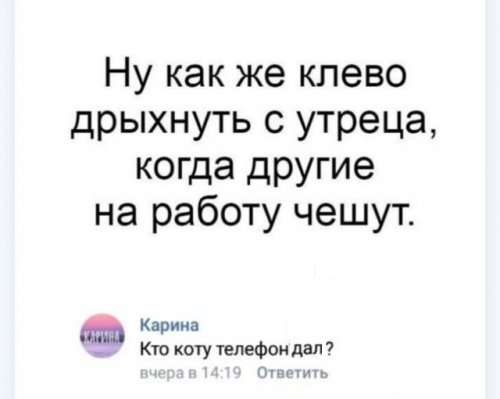 Картинки с надписями, соц-сети и анекдоты
