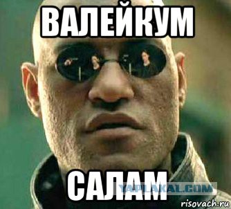 Прикольные картинки с ваалейкум салам