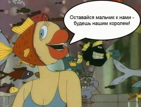 Собачка на рыбалке