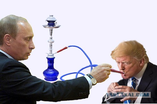 Картинки с надписями, истории и анекдоты