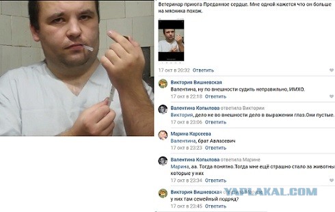 Помогите вернуть кота! Приют "Преданное сердце" украл кота и не отдает!