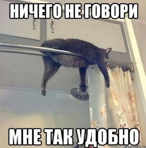 Немного картинок с надписями и без - 30