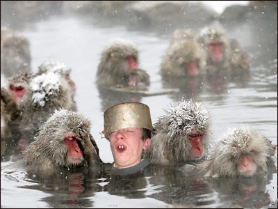 Страж