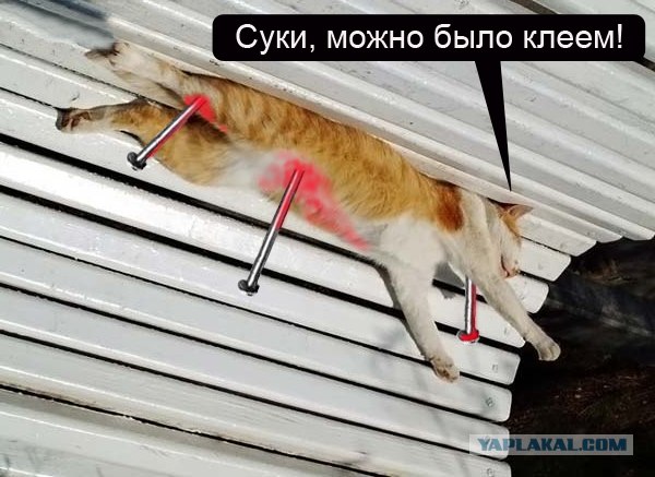 Я знал прикуп! Я в Сочи!