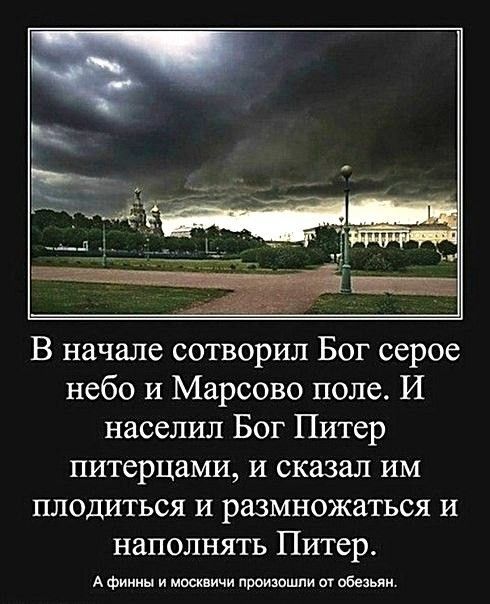 Смешные комментарии из социальных сетей 28.08.2020