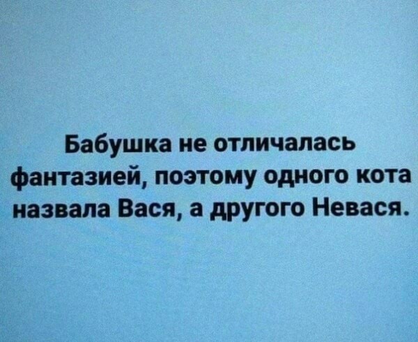 Бредзона 19.09.20