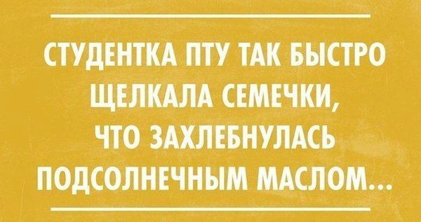 Фотки и картинки: юморные и красивые, забавные и милые 03.10.20