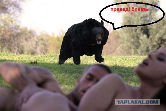 Фотожаба: Тут медвед не проходил?