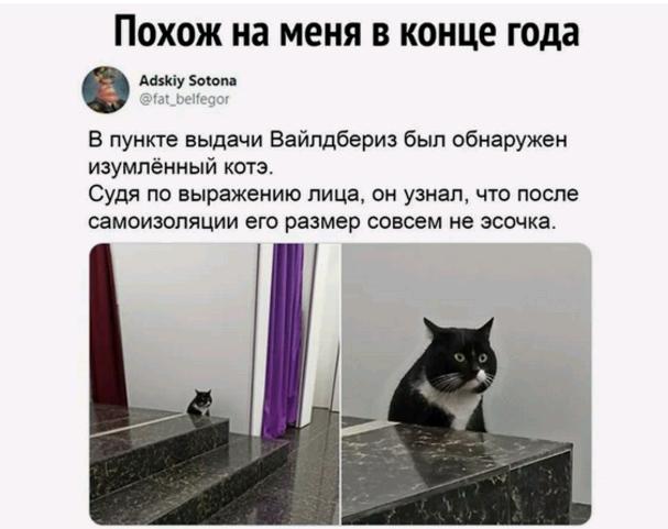 Картинки и мемы для настроения 025