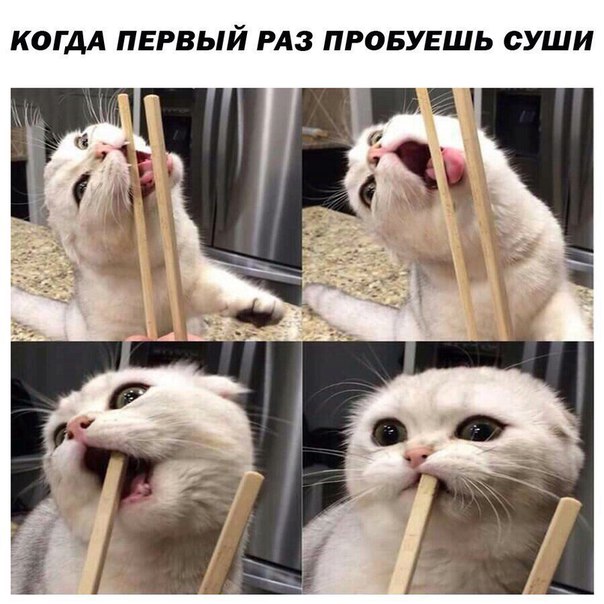 Кретинизмы из KO и KV 30.01.21