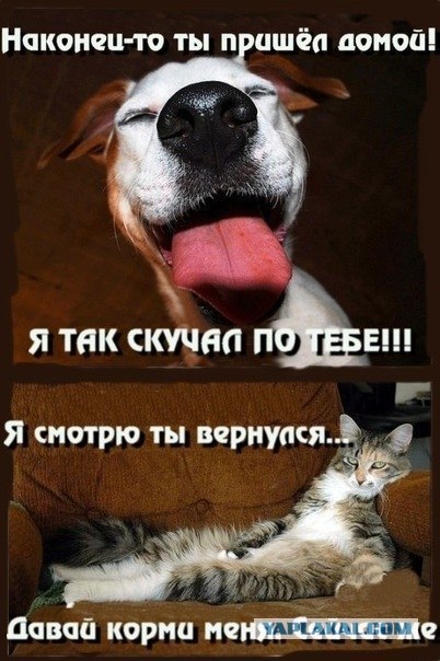 Встреча с хозяйкой