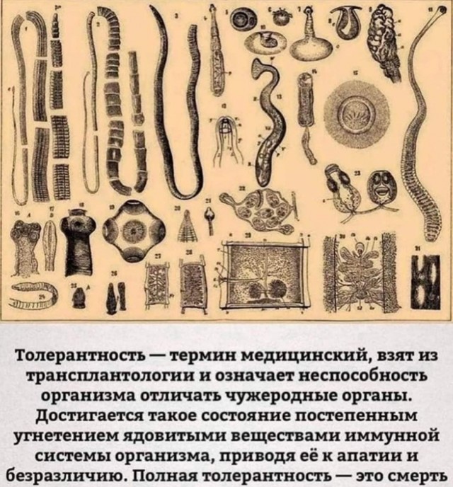 Ну совсем нетолерантный Китай