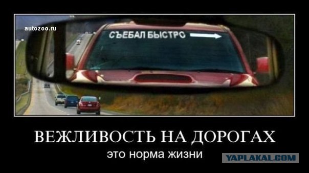 Не пропустил пешехода на зебре - с ноги нААА!