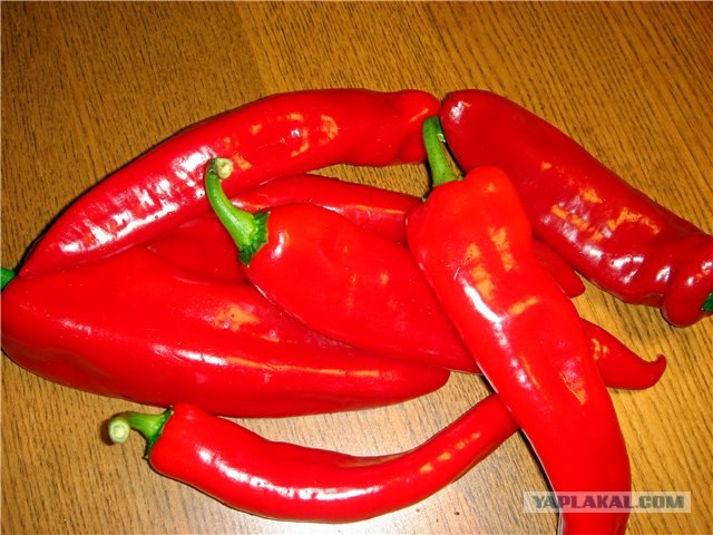 Chili con сarne (Warning - HOT!)