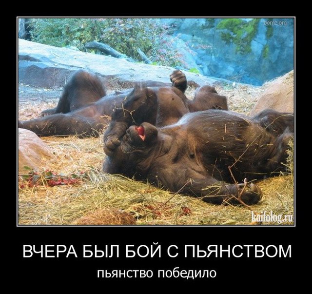 Алкопост 16.07.21
