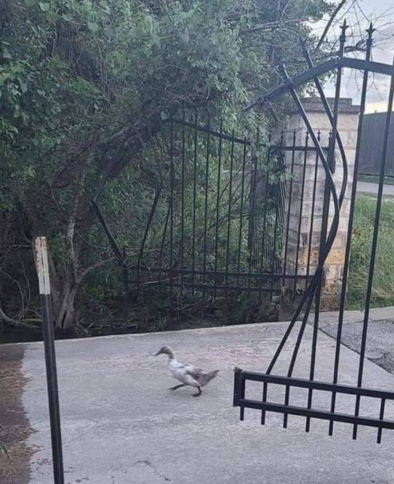 Картинки на вчера