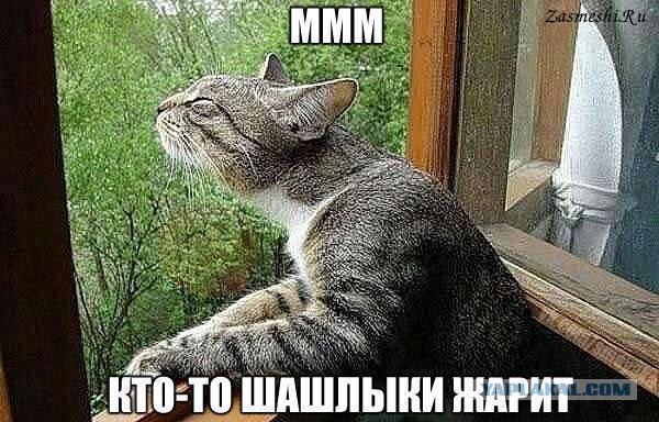 Что-то пошло не так...
