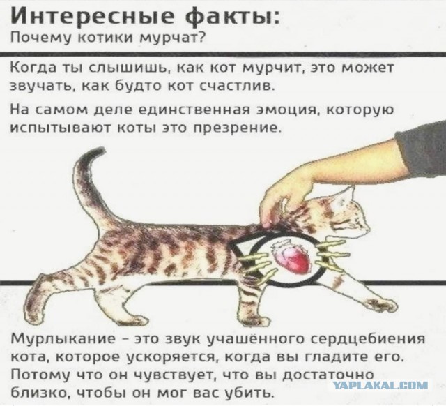 Бредзона 11.12