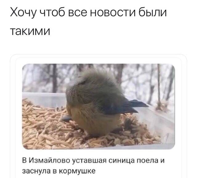 Так себе картинки 11.02.22