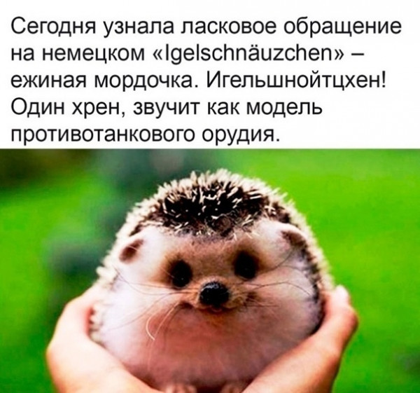 Пятница. И немного слегка пошлых картинок с надписями и без 16+ (27.05)