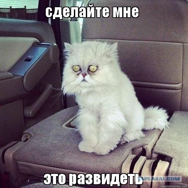 Родители поздравляют сына.