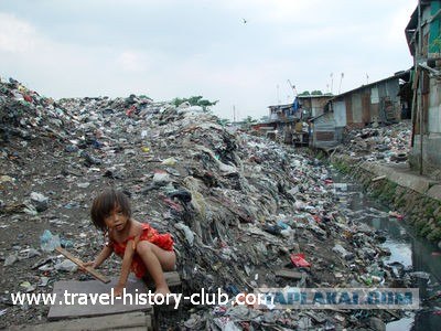 Они живут только 40 лет