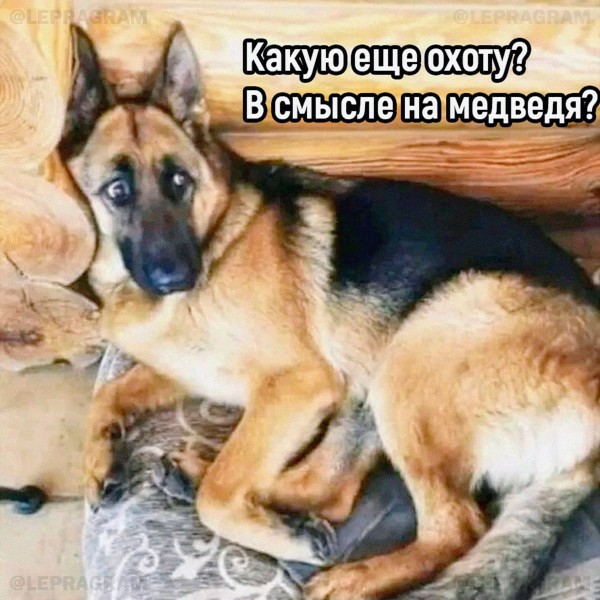 Немного картинок для настроения - 112