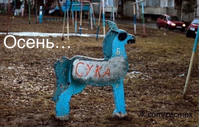 Картинки и мемы, всем хороших выходных