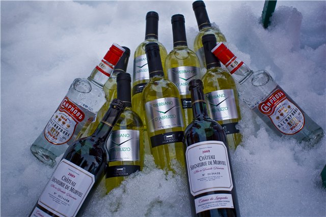 Отчет о покорении Северного полюса