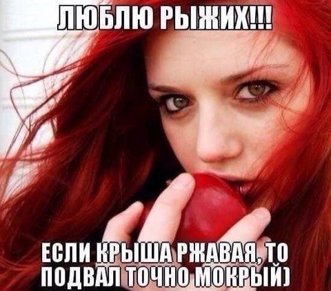 Весёлый полтишок 08.11.22