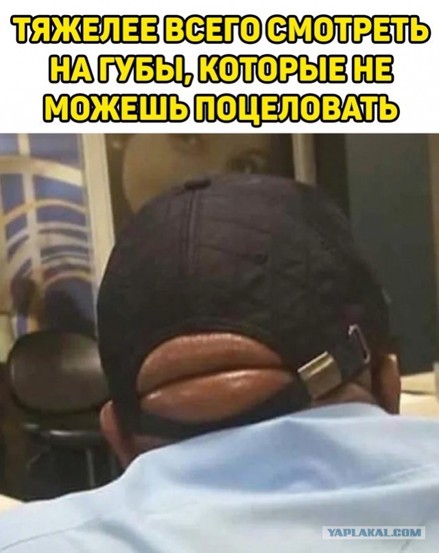 Весёлый полтишок 10.11.22