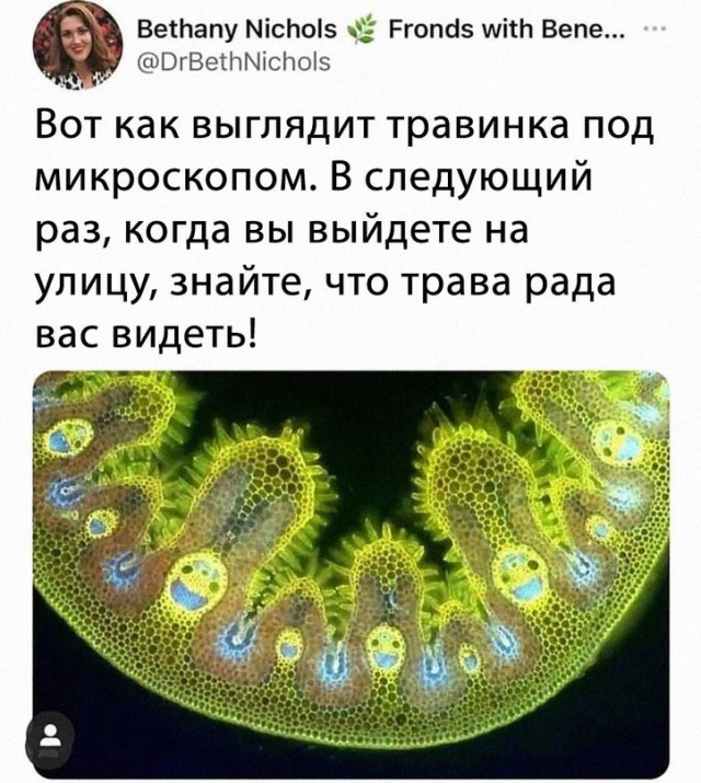 Картинки и мемы, всем хороших выходных