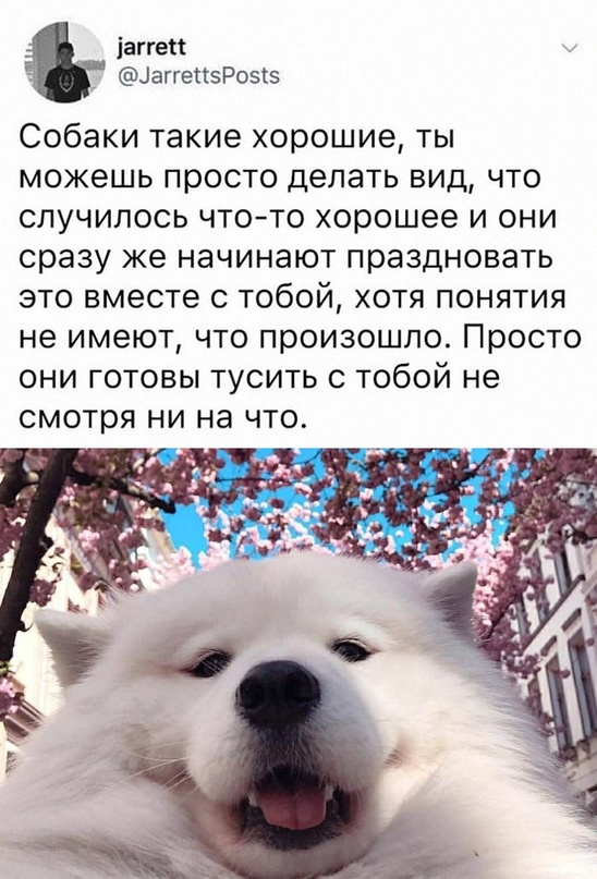 Картинки и мемы, всем хороших выходных