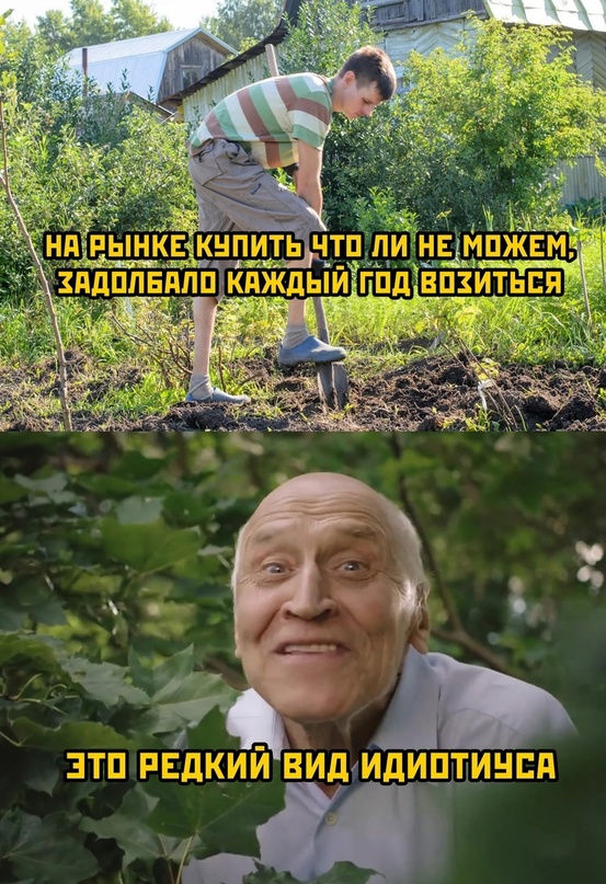 Картинки и мемы, всяко разно - 175