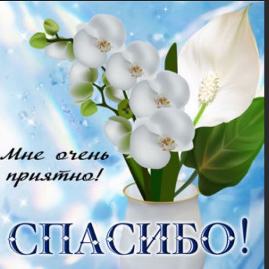 Победная поступь идиотизма по планете – том 14