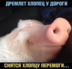 На линии Соледар-Попасная - обрушился фронт!
