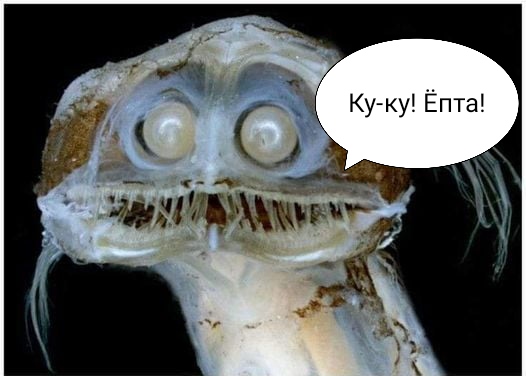 Кошмарная галлюцинация: как живет глубоководная рыба-телескоп. И еще несколько подводных "монстров"