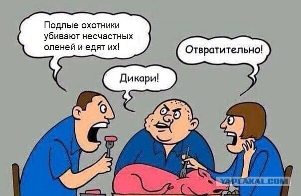 Охота на оленя в США