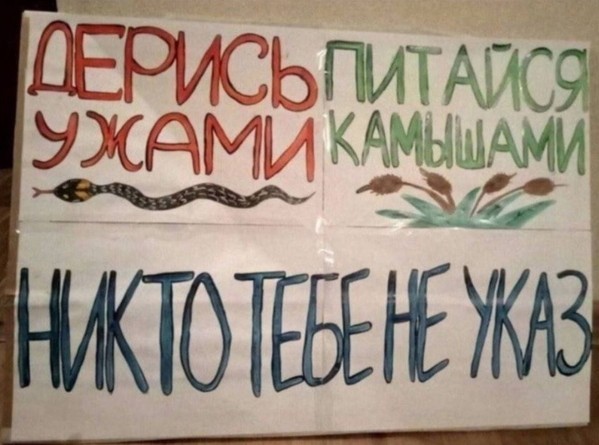 Всего понемногу. От 17.04.24.