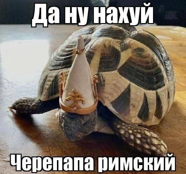 Так себе картинки 17.04.24
