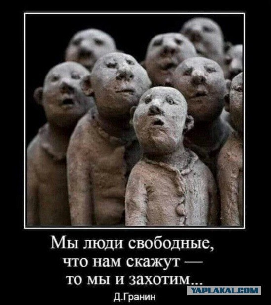 Украинские пограничники начали минировать территорию вдоль реки Тиса