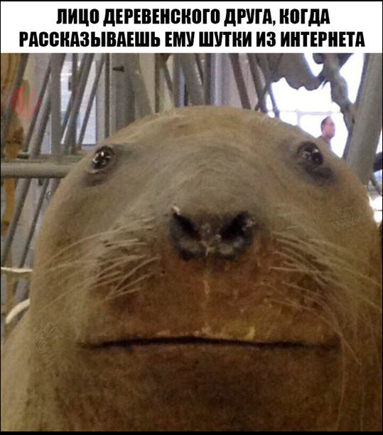 Отборные баяны 10-летней выдержки vol. 5