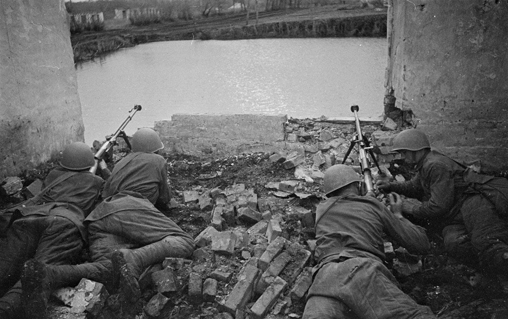 19534293.jpg