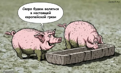 Прекращение огня к 20 апреля и никакого НАТО: В Сеть слили мирный план Трампа по Украине