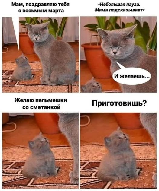 К котовторнику: подборка картинок-баянов с котиками и про котиков. Выпуск 9