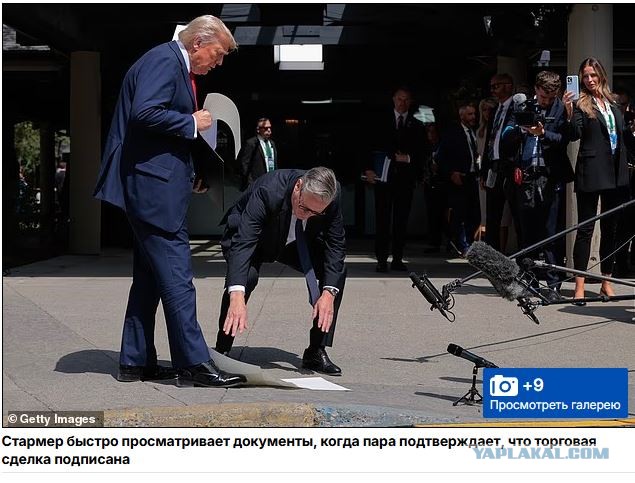 Трамп посоветовал Путину не лезть не в своё дело